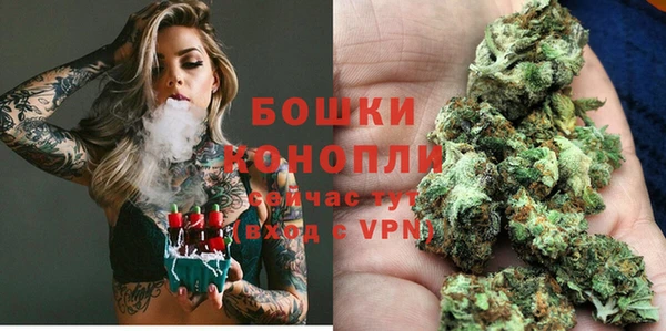 2c-b Бородино