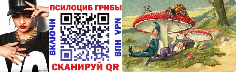 Псилоцибиновые грибы GOLDEN TEACHER  Новопавловск 